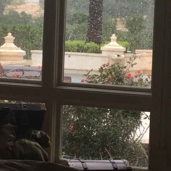 Meet your Posher, Soha - Picture 1 of 1